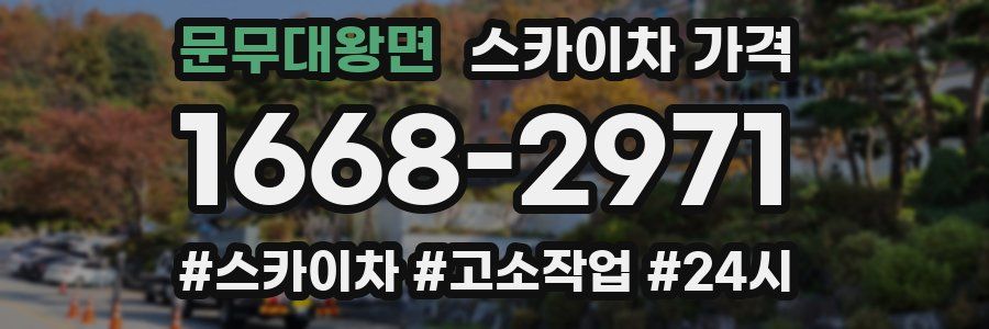 문무대왕면 스카이차 가격