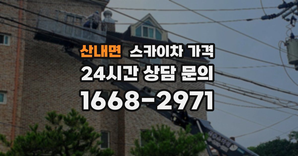 산내면 스카이차 가격