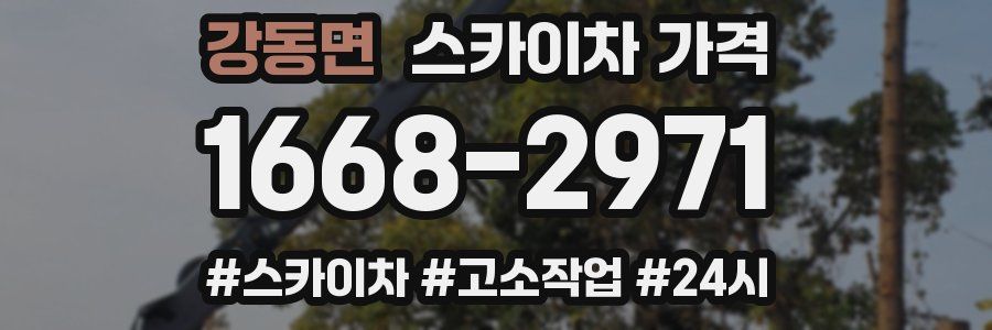 강동면 스카이차 가격