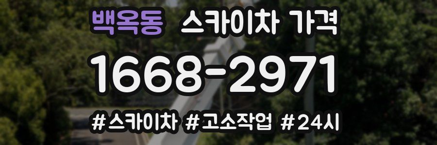 백옥동 스카이차 가격