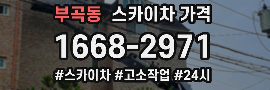 부곡동 스카이차 가격