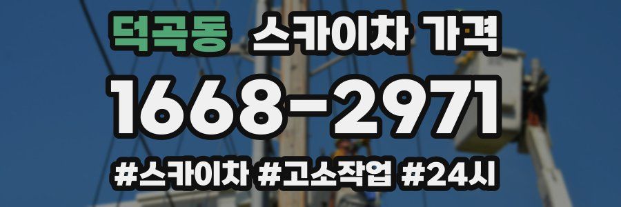 덕곡동 스카이차 가격