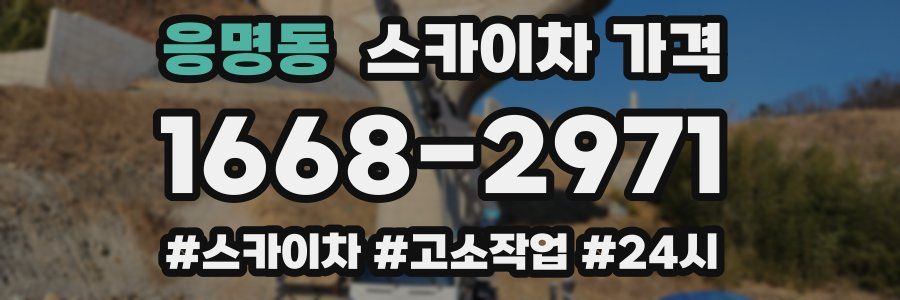 응명동 스카이차 가격