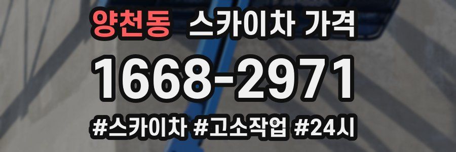 양천동 스카이차 가격