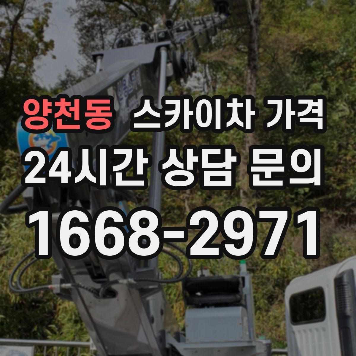 양천동 스카이차 가격