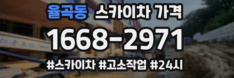 율곡동 스카이차 가격