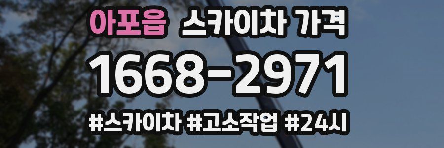 아포읍 스카이차 가격