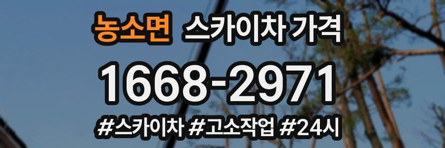 농소면 스카이차 가격