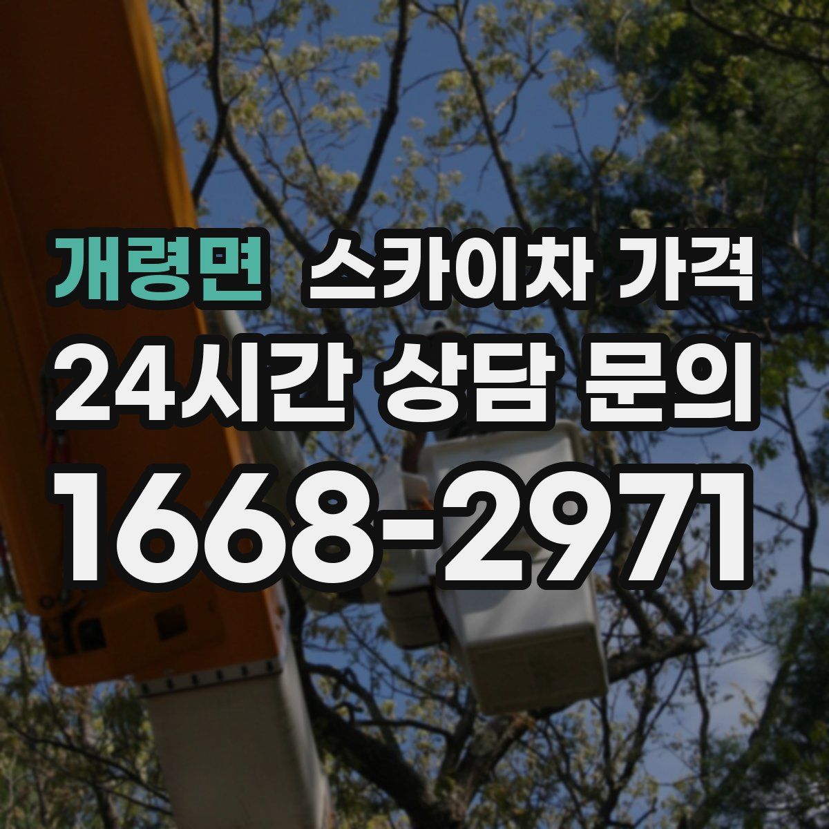 개령면 스카이차 가격