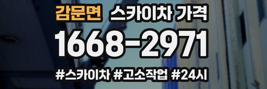 감문면 스카이차 가격