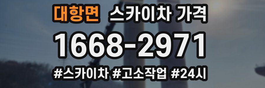 대항면 스카이차 가격