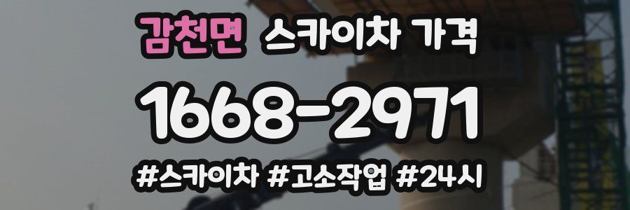 감천면 스카이차 가격