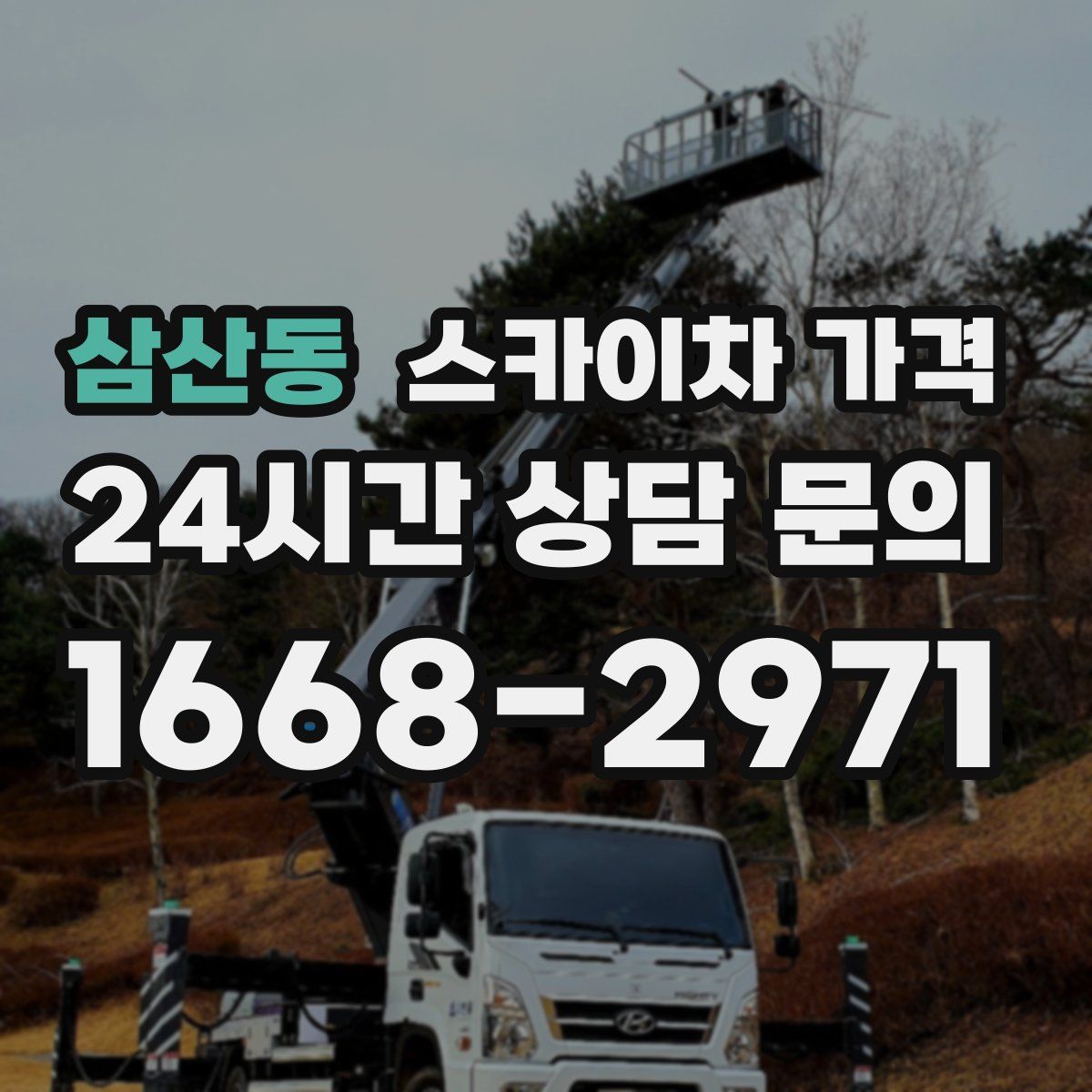 삼산동 스카이차 가격