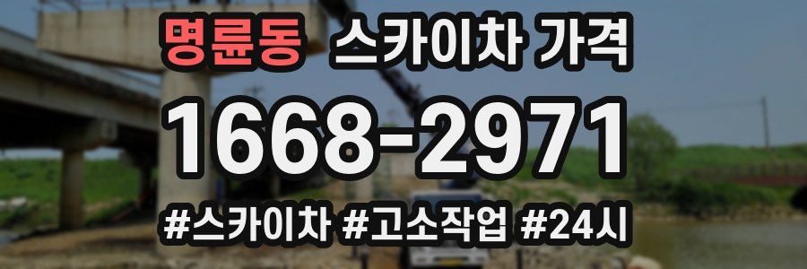 명륜동 스카이차 가격