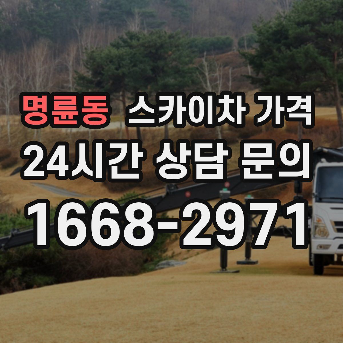 명륜동 스카이차 가격