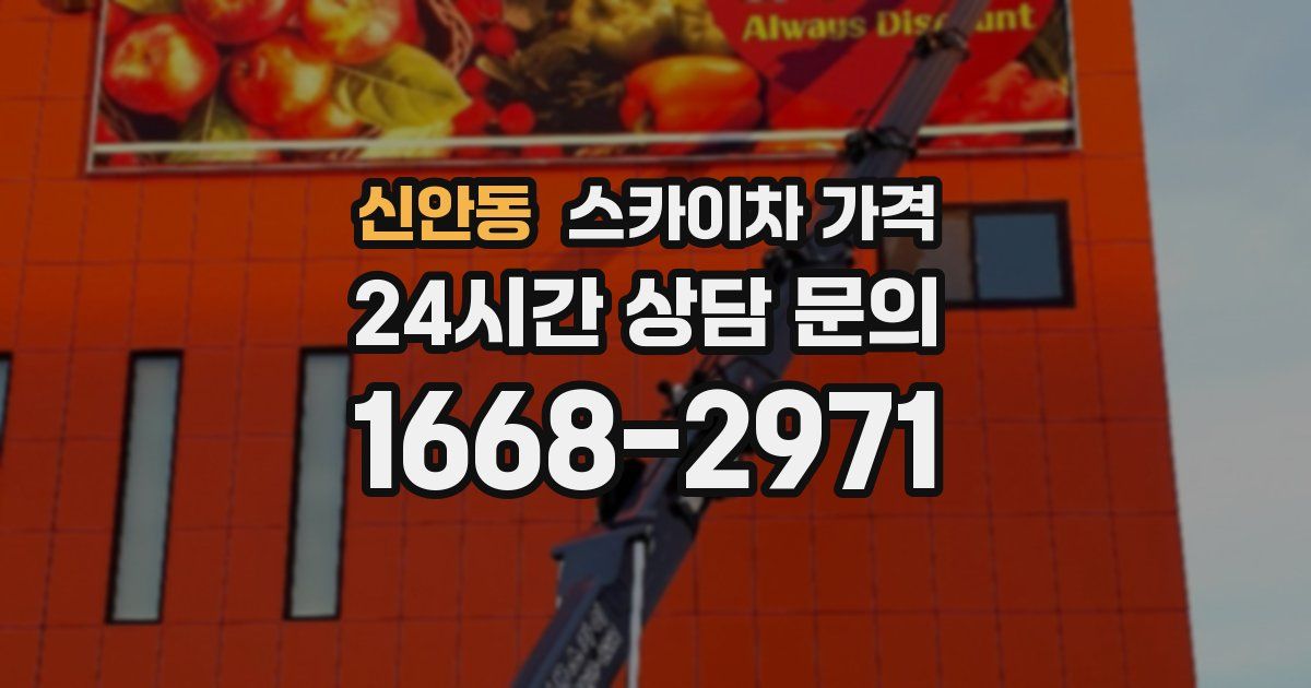 신안동 스카이차 가격