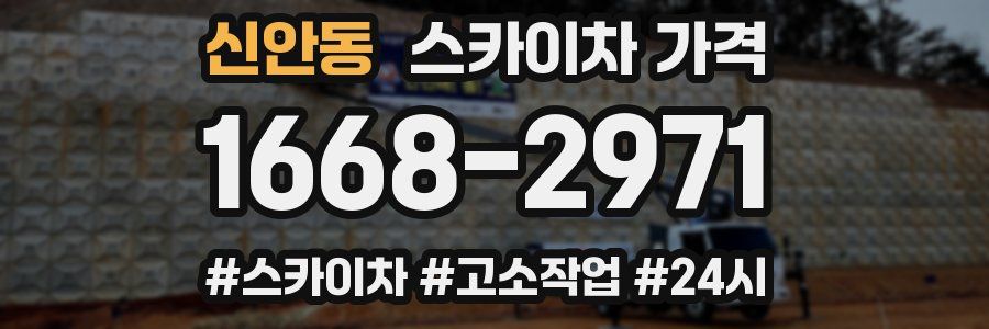 신안동 스카이차 가격