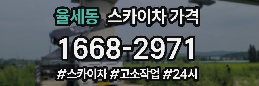 율세동 스카이차 가격