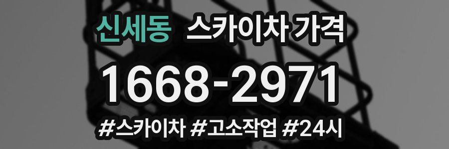 신세동 스카이차 가격