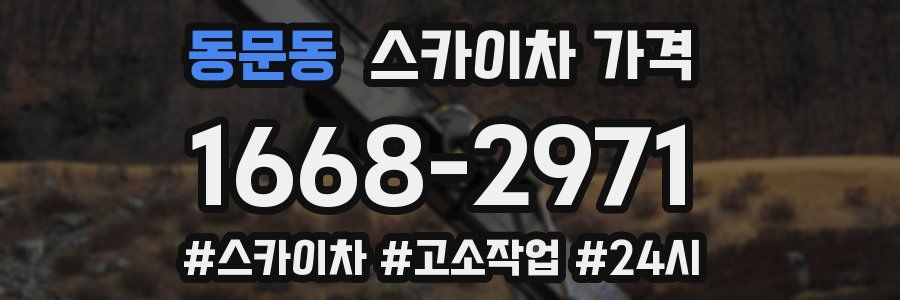 동문동 스카이차 가격