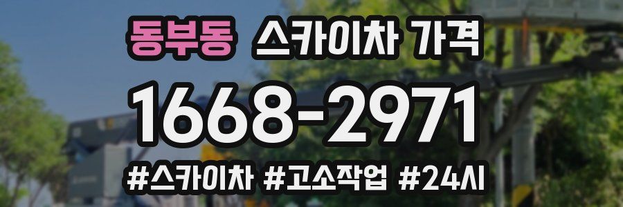 동부동 스카이차 가격