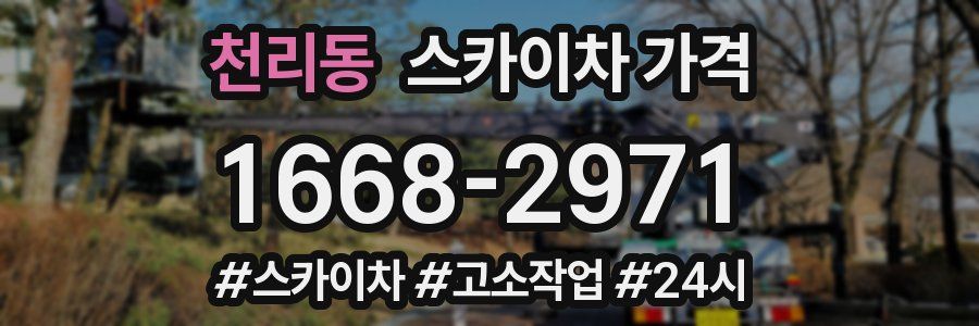 천리동 스카이차 가격