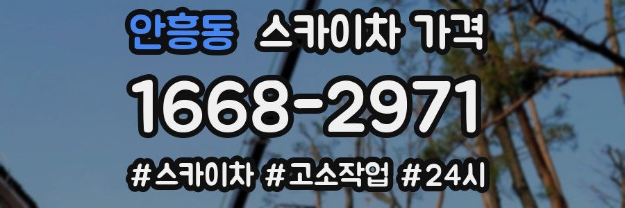 안흥동 스카이차 가격
