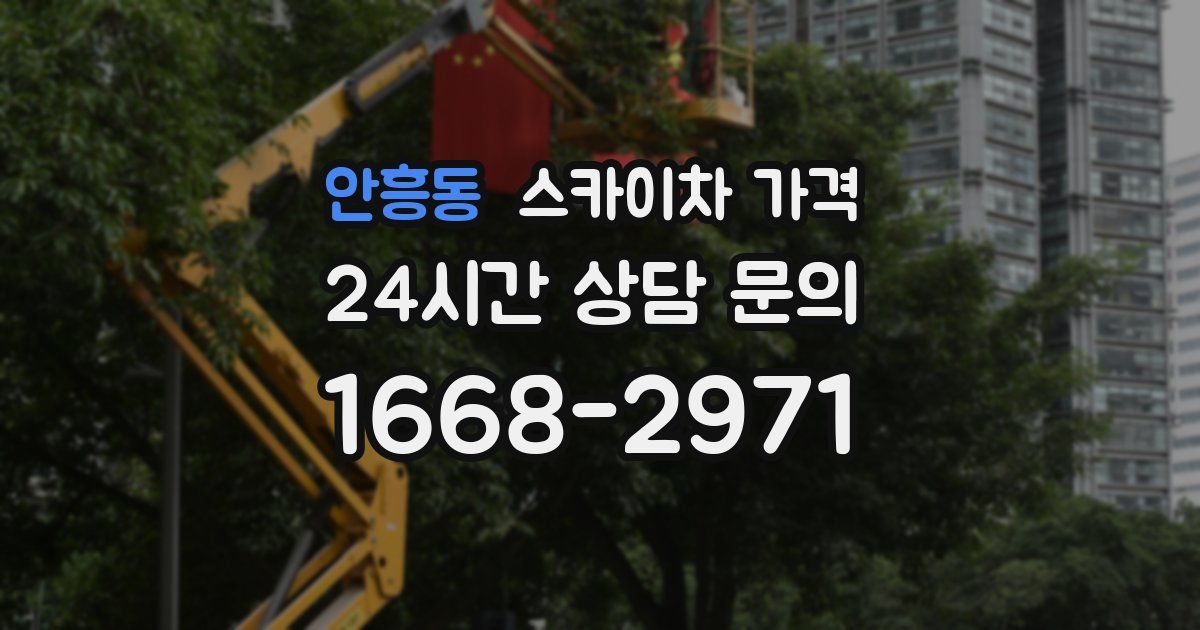 안흥동 스카이차 가격