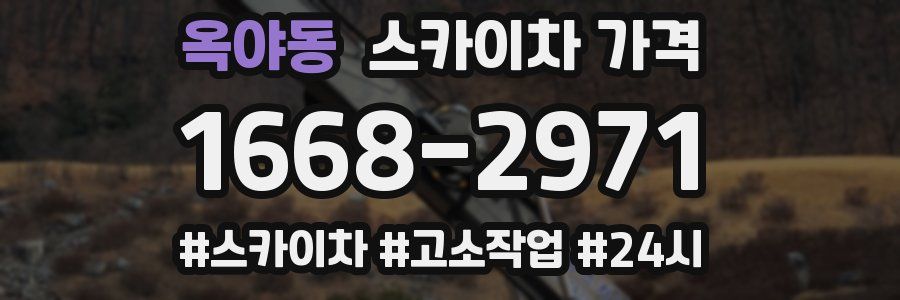 옥야동 스카이차 가격