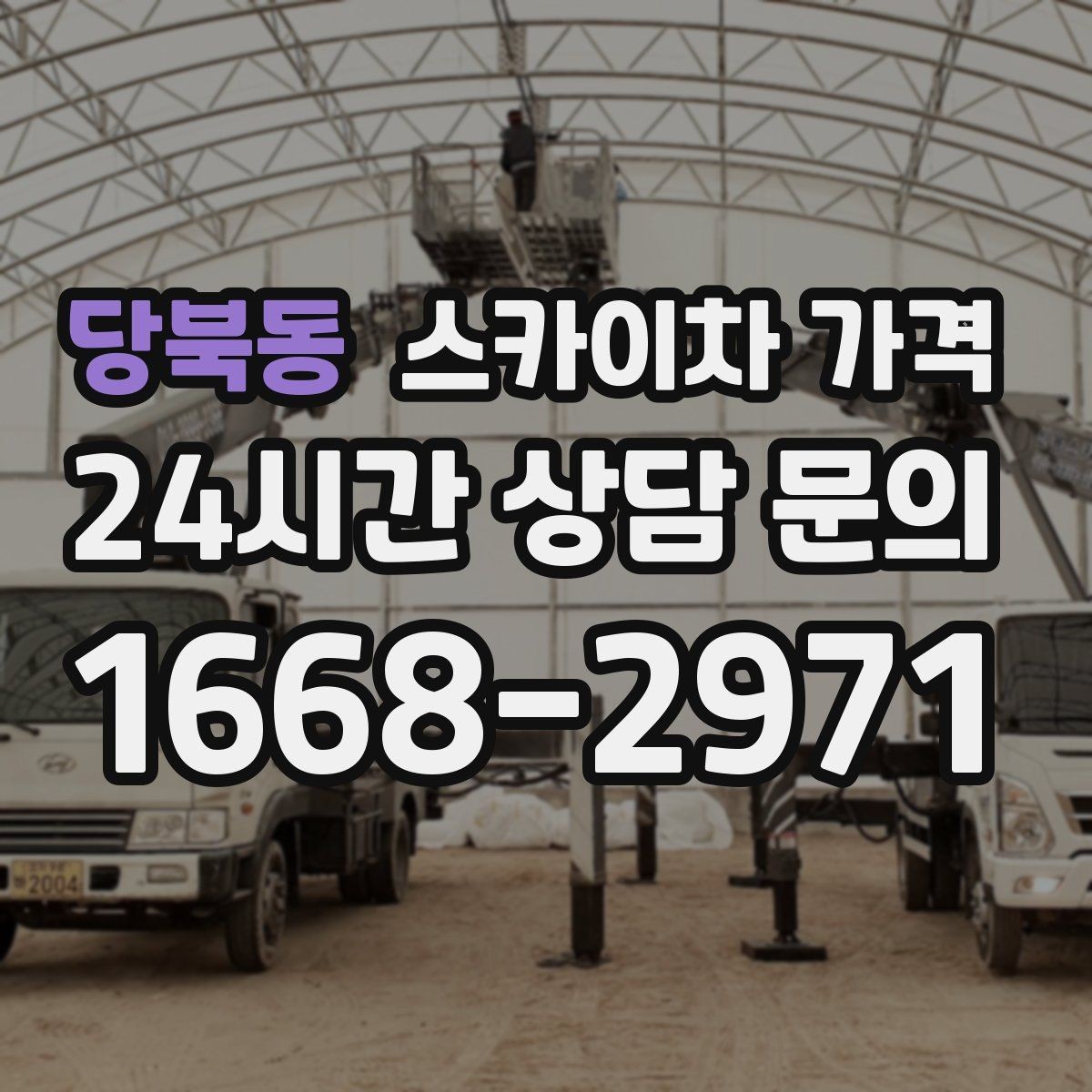 당북동 스카이차 가격 나무 전지 작업은 가지 위치가 변수가 됩니다