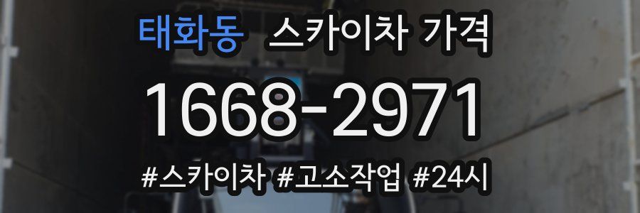 태화동 스카이차 가격