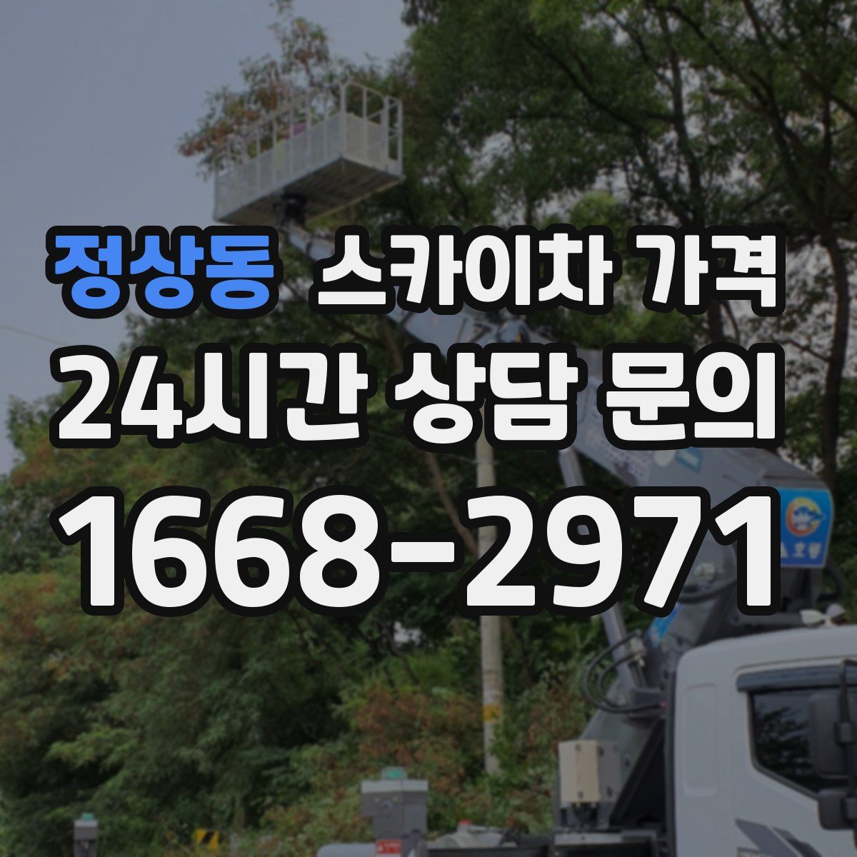 정상동 스카이차 가격