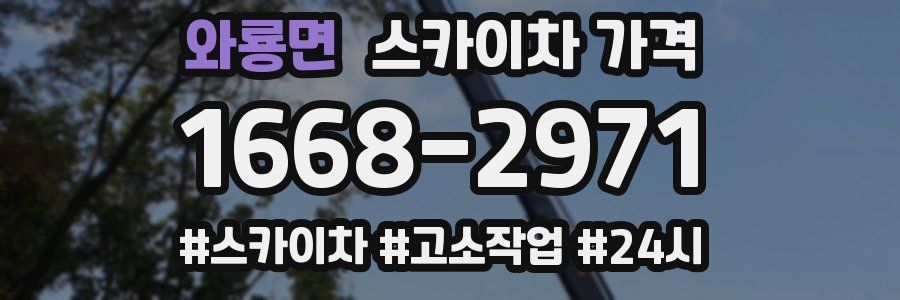 와룡면 스카이차 가격