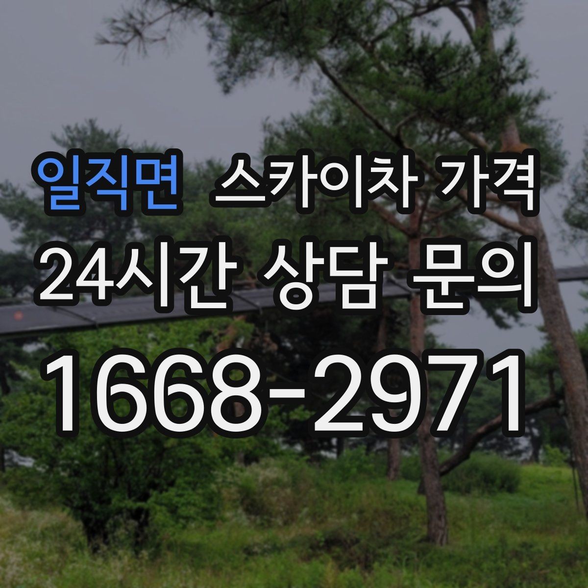 일직면 스카이차 가격 반나절 작업이 되는 순간은 언제일까