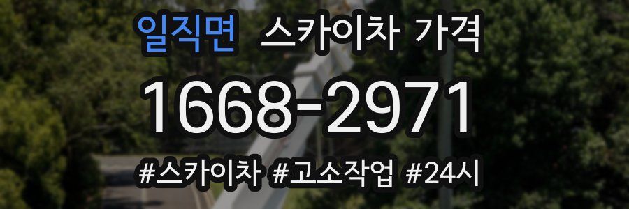 일직면 스카이차 가격