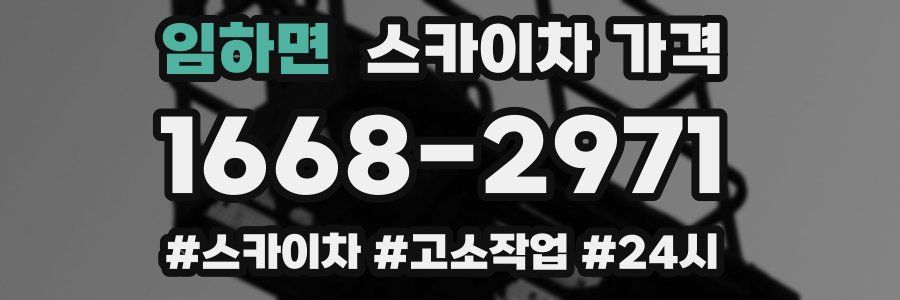 임하면 스카이차 가격