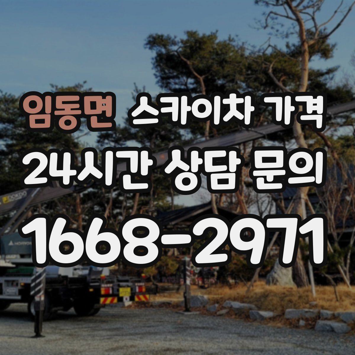 임동면 스카이차 가격 급하면 당일도 가능할까 현실적인 기준