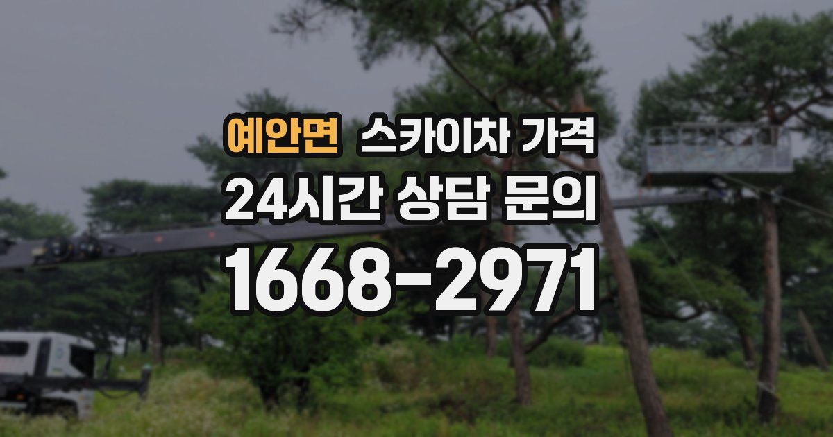 예안면 스카이차 가격