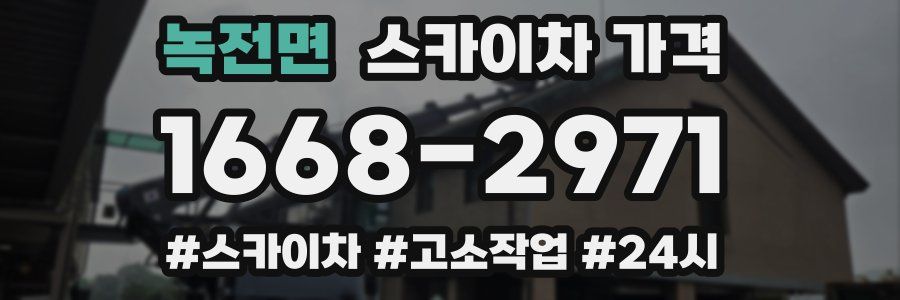 녹전면 스카이차 가격