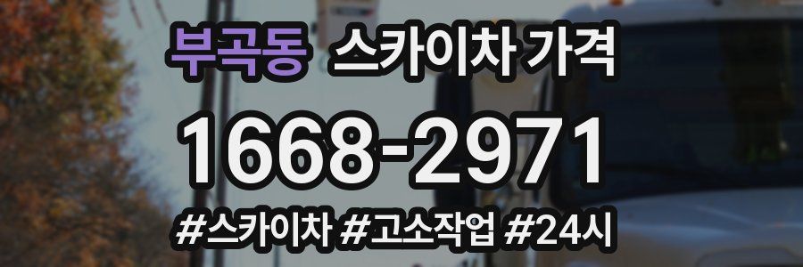 부곡동 스카이차 가격