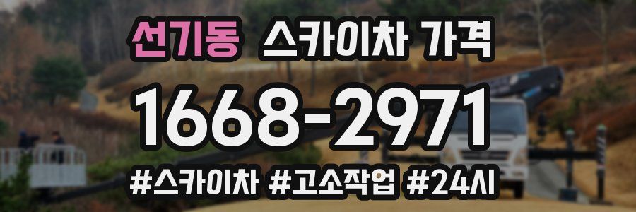 선기동 스카이차 가격