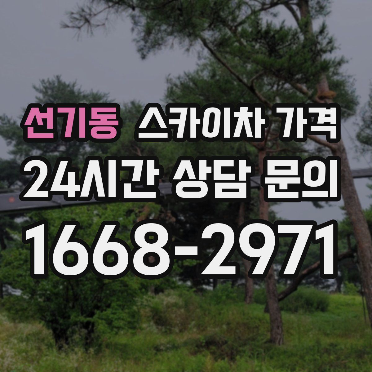 선기동 스카이차 가격