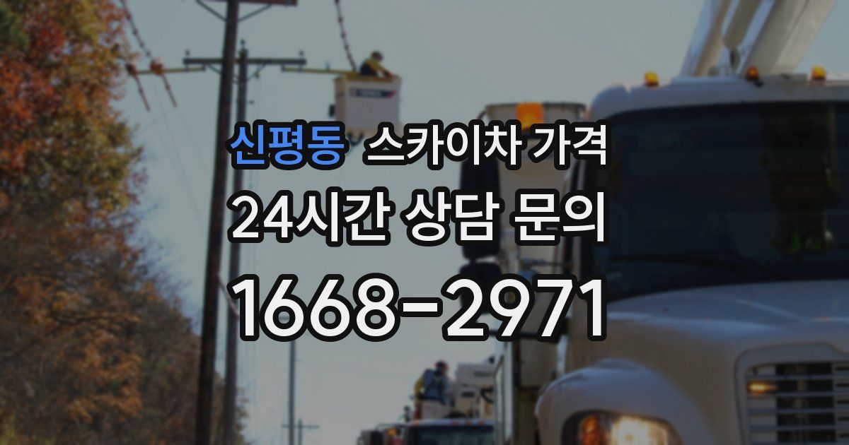 신평동 스카이차 가격