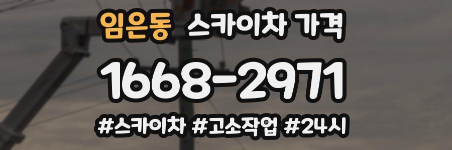 임은동 스카이차 가격