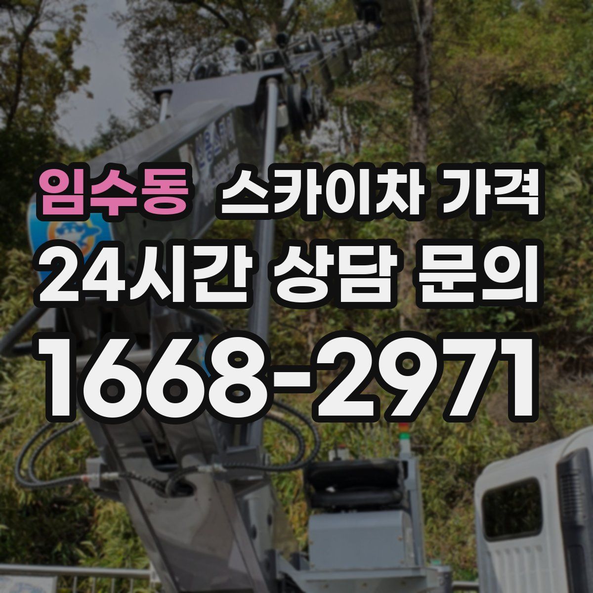 임수동 스카이차 가격