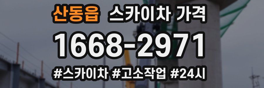 산동읍 스카이차 가격