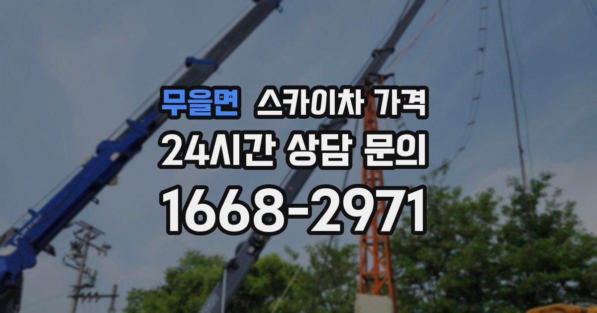 무을면 스카이차 가격