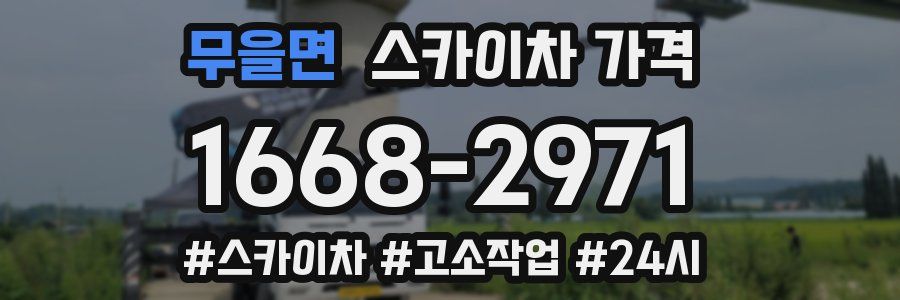 무을면 스카이차 가격