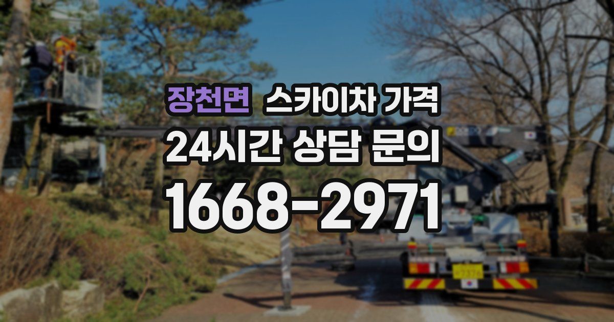 장천면 스카이차 가격