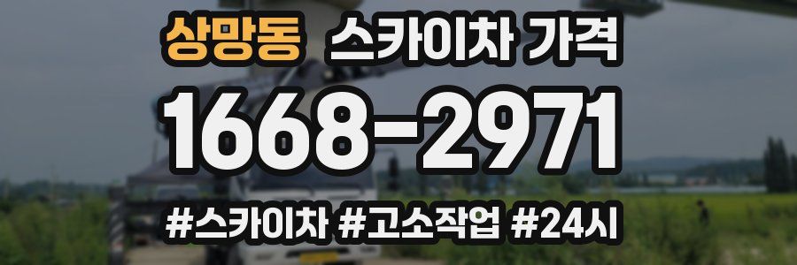 상망동 스카이차 가격